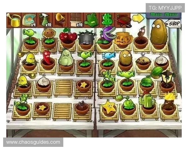 918网络游戏版本更新内容详解,了解最新变化抢先体验